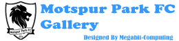 mpfc-gallery-logo